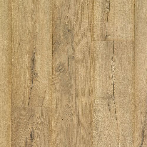 Cavalry Oak