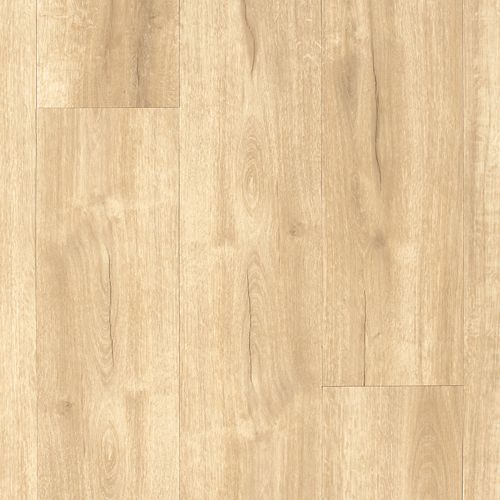 Franklin by Solidtech Plus - Bangor