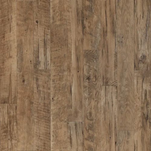 Timber - Gold